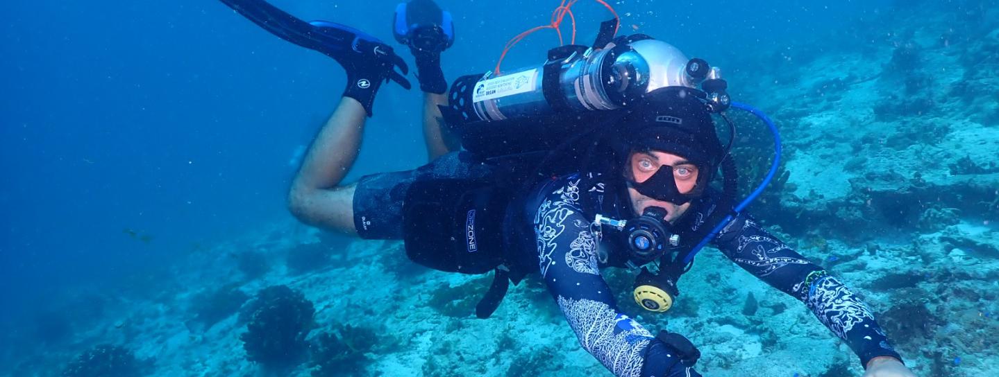Diver in coral reef