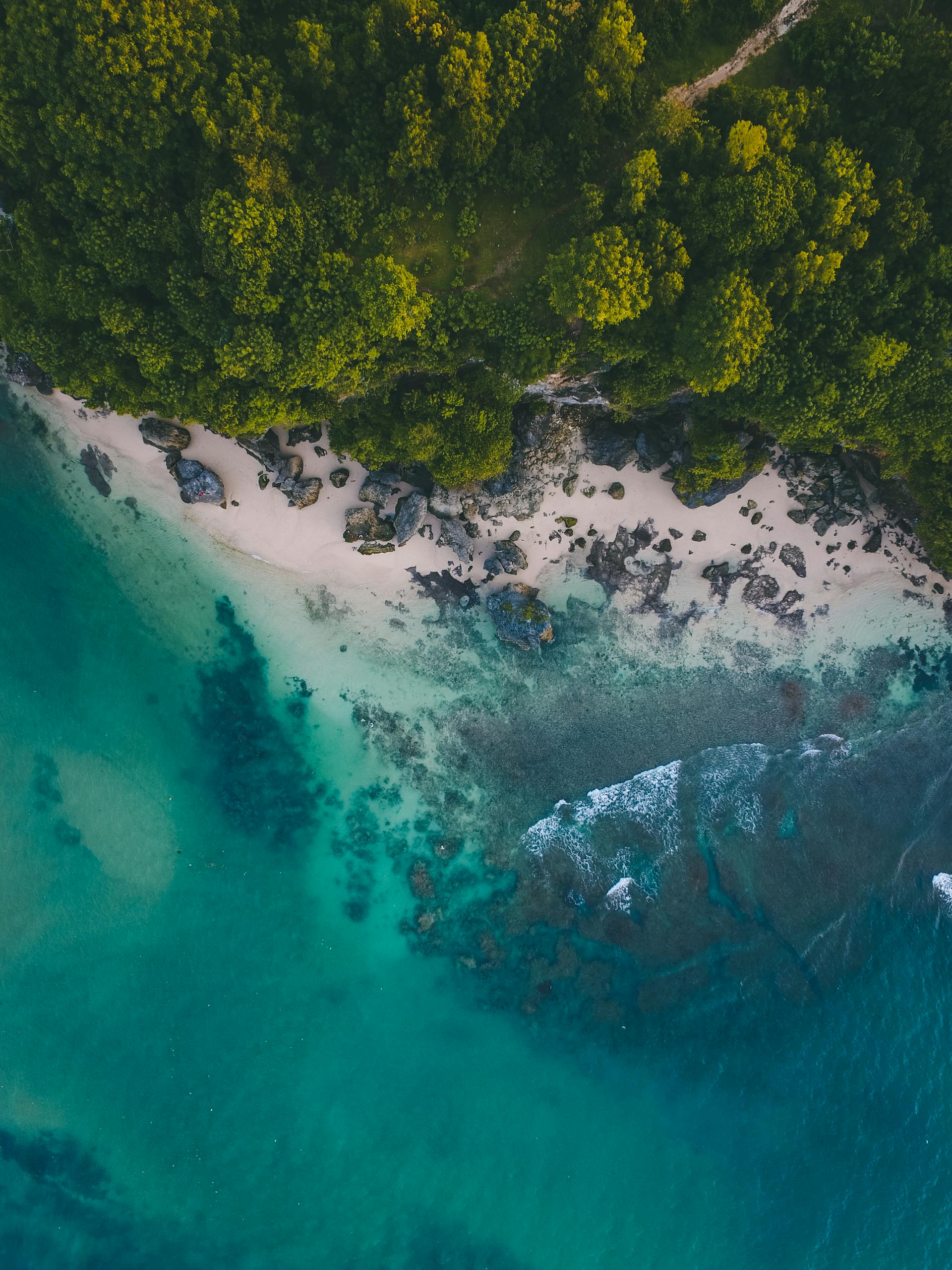 a picture of the ocean